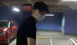 湛江出轨爆料事件视频播放,真相与舆论的碰撞